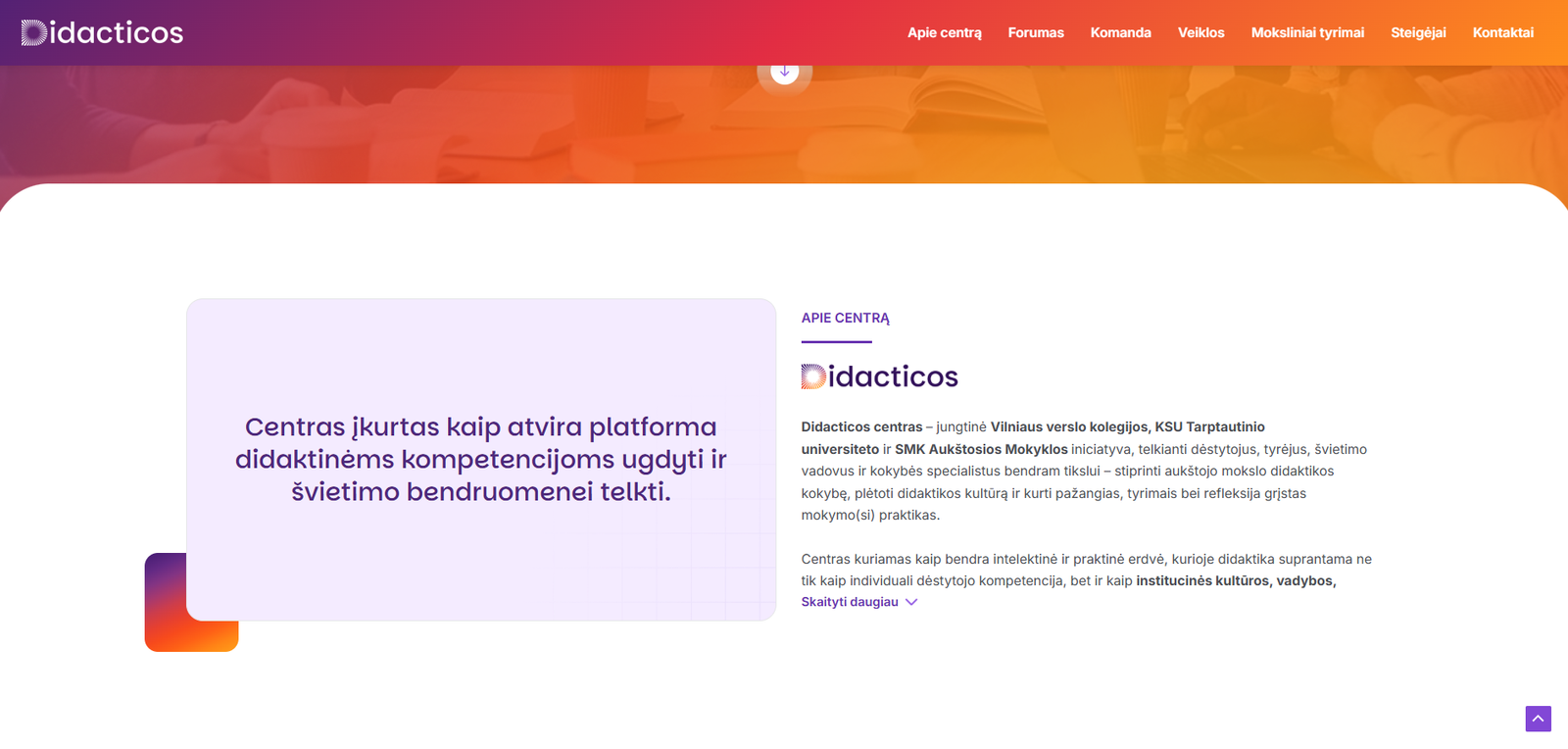 Didacticos interneto svetainės dizainas